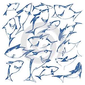 Graphical set of blue sharks isolated