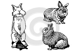Graphical set of bunnies isolated on white background,vector elements