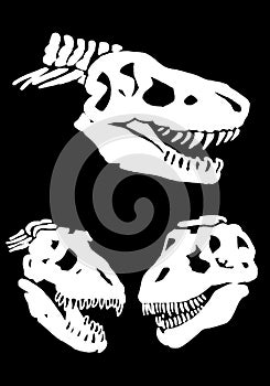 Graphical set of dinosaur skull silhouettes isolated on black background,vector illustration for tattoo and printing
