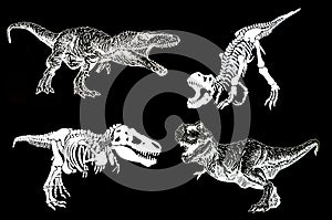 Graphical set of dinosaurs isolated on black background,vector illustration