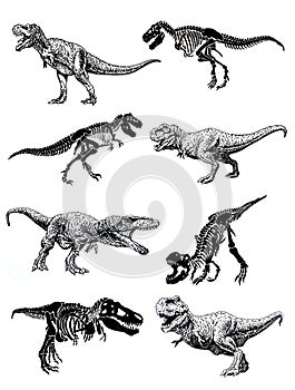 Graphical set of dinosaurs isolated on white background,vector illustration
