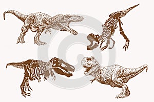 Graphical set of dinosaurs, sepia vector illustration