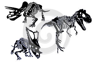 Graphical set of dinosaurs` skeletons isolated on white background, vector illustration