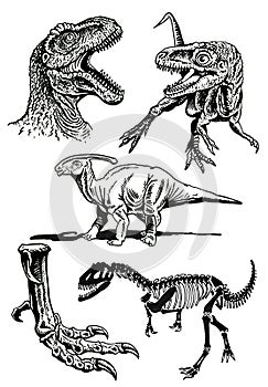 Graphical set of dinosaurs on white background,vector drawing,paleontology