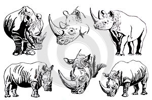 Graphical set of rhinos isolated on white background, vector illustration