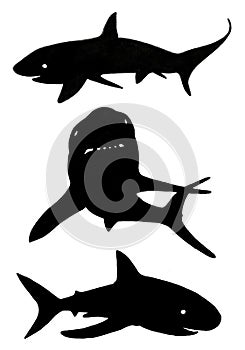 Graphical set of sharks silhouettes isolated on white background, vector illustration