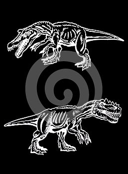 Graphical set of tyrannosauruses isolated on black background