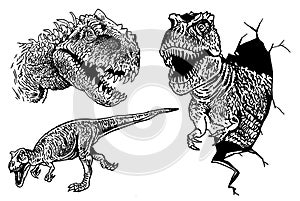 Graphical set of tyrannosauruses isolated on white ,vector elements,jurrasic perioud