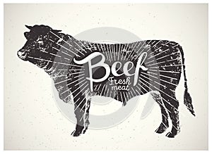 Graphical silhouette bull.
