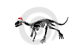 Graphical skeleton of raptor running in Santa Claus red hat isolated on white, silhouette of dinosaur,