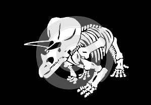 Graphical skeleton of triceratops on black background,vector paleonthology element photo