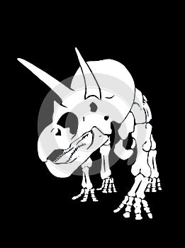 Graphical skeleton of triceratops on black background,vector paleonthology element photo