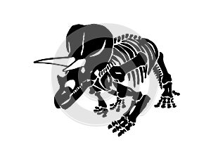 Graphical skeleton of triceratops on white background,vector paleonthology element photo