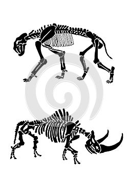 Graphical  skeletons of wooly rhino and saber- toothed tiger isolated on white, paleontology elements, vector illustration photo