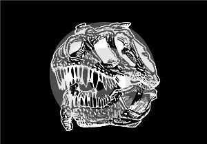 Graphical skull of tyrannosaurus isolated on black, vector illustration for tattoo ,typography and design