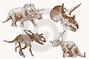 Graphical vintage set of dinosaurs , sepia background, vector illustration