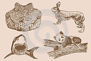 Graphical vintage set of animals on sepia background,vector illustration. Zoology