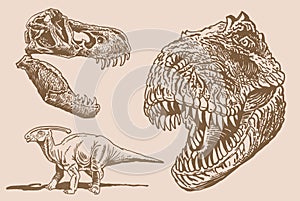 Graphical vintage set of dinosaurs ,vector elements,jurrasic perioud sepia illustration