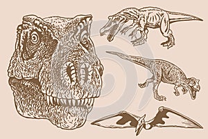 Graphical vintage set of dinosaurs ,vector elements,jurrasic perioud sepia illustration