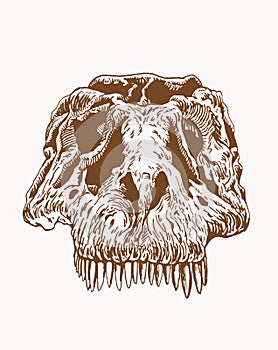 Graphical vintage skull of dinosaur with long sharp teeth, sepia background, vector illustration