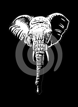 Graphical white portrait of elephant on black background,vector engraved illustration