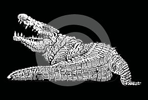 Graphical white silhouette of crocodile on black background,3D illustration