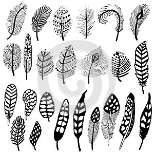 Graphics hand feather isolated on white background