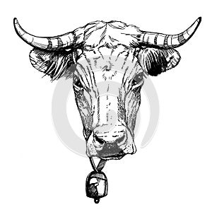 Graphics illustration farm animals Obrak cow face