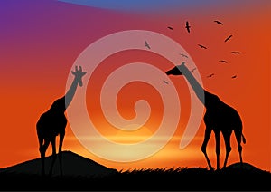 Graphics landscape view giraffe at the forest with mountain background and twilight silhouette vector illustration