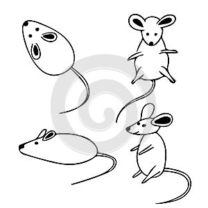 Graphics set collection of hand drawn mouse silhouettes different poses elements black lines on a white background scandinavian