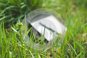 Graphics tablet with a pen lying among the green, spring grass, background, bokeh