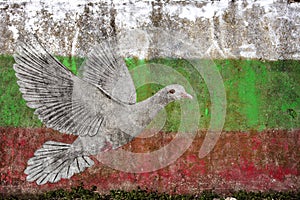 Graphite of the white dove on Bulgarian flag. A painted wall.