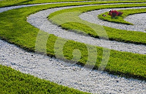 Grass Helix at a Graveyard