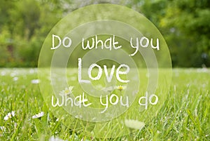 Gras Meadow, Daisy Flowers, Quote Do What You Love