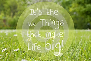 Gras Meadow, Daisy Flowers, Quote Little Things Make Life Big