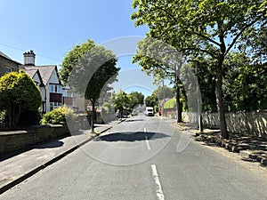 Grasmere Road, with gardens, and old trees in, Huddersfield, Yorkshire, UK