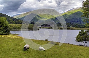 Grasmere photo