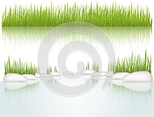 Grass