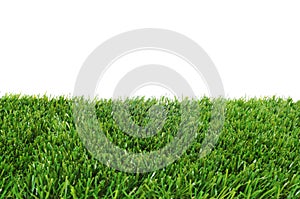 Grass