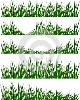 Grass