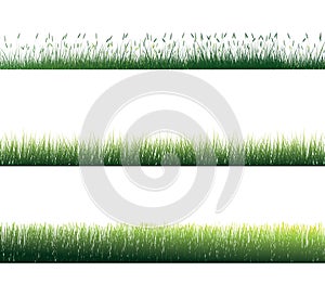 Grass