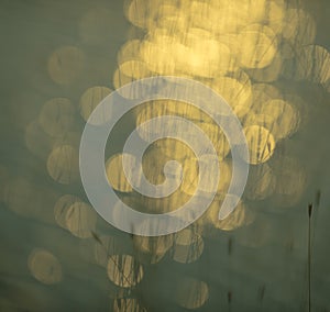 Grass, abstract, background..