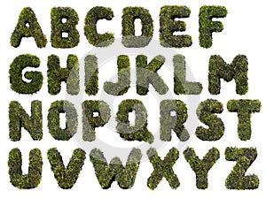 Grass alphabet