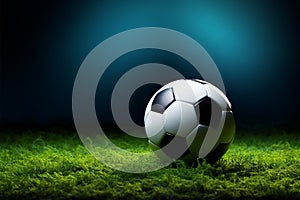 Grass backdrop highlights the simplicity of a spherical sports ball