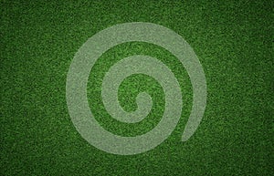 Grass Background Texture