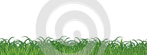 Grass Background Weeds Vector