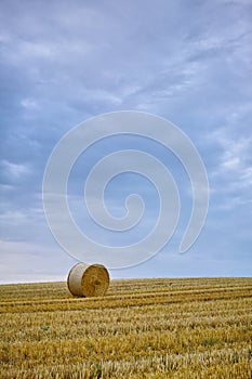 Grass, bale and stack of hay in landscape of field with harvest of straw in summer on farm for agriculture. Farming