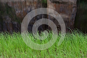The grass on the banks of the river and the reflection of the rocks.