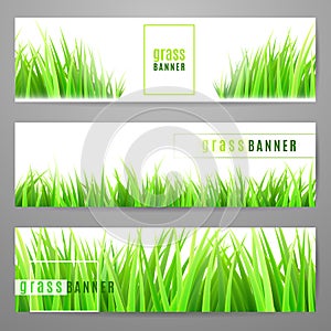 Grass banner set with fresh green tufts isolated on white background photo
