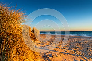 Grass and beach at sunset